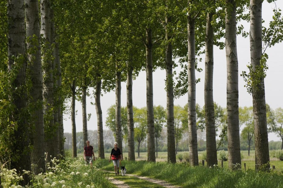 'Relax Lodge Sea' - Wellness Lodge In Zeeland - Private Sauna - Airco - Garden - Outdoor Swimming Pool - Free Wifi, Towels & Bed Linen Heinkenszand Eksteriør bilde