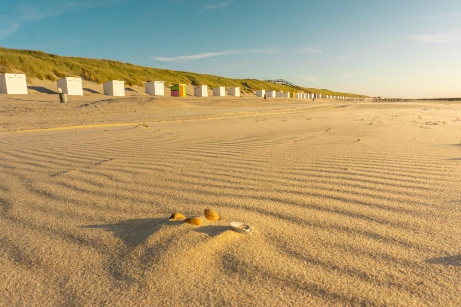 'Relax Lodge Sea' - Wellness Lodge In Zeeland - Private Sauna - Airco - Garden - Outdoor Swimming Pool - Free Wifi, Towels & Bed Linen Heinkenszand Eksteriør bilde